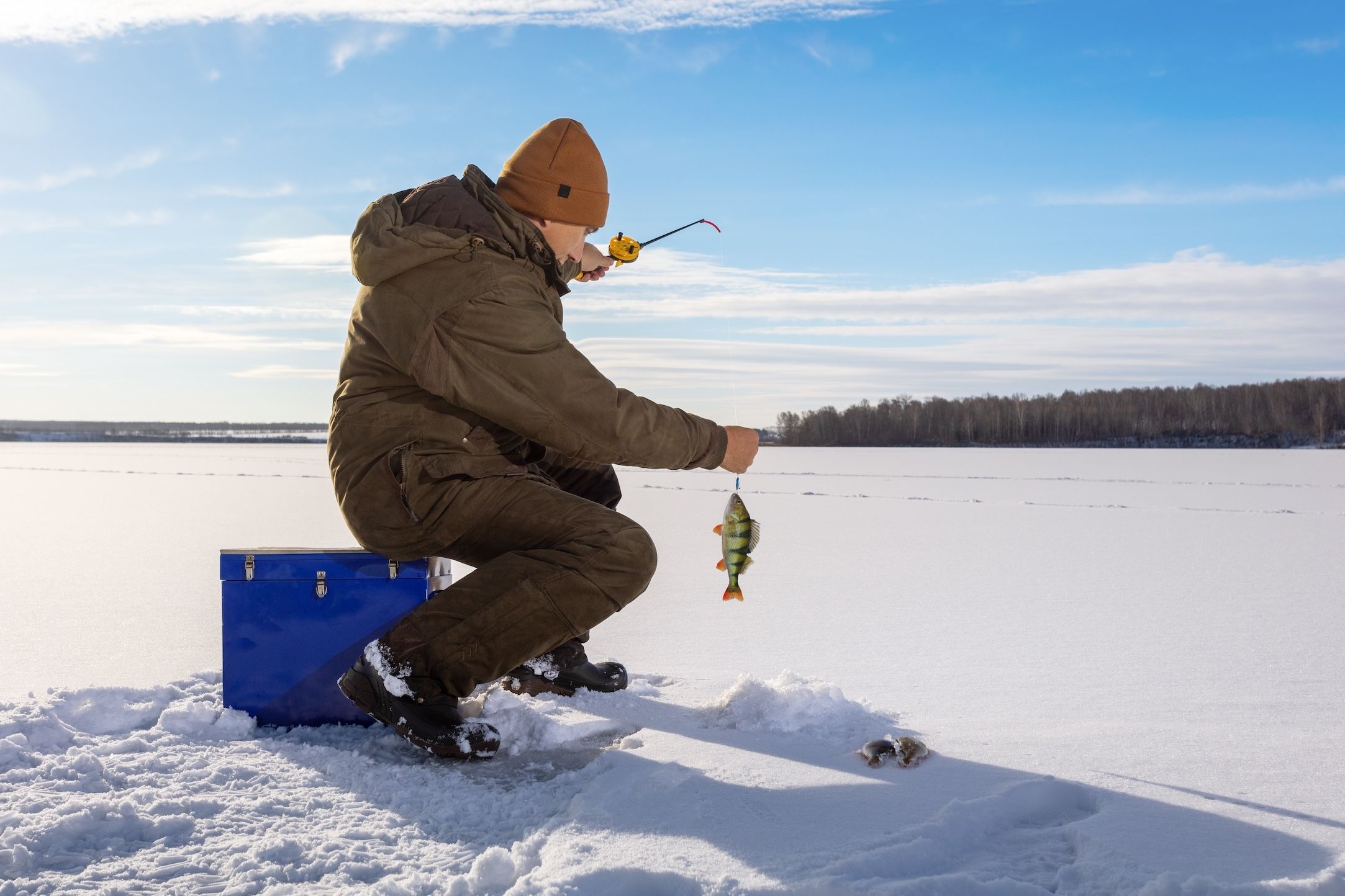  Ajuste preciso da vara de pesca e da montagem para o inverno 🎣